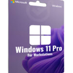 Windows 11 Pro for Workstations Digital License